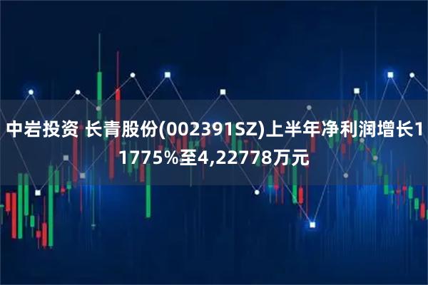 中岩投资 长青股份(002391SZ)上半年净利润增长11775%至4,22778万元